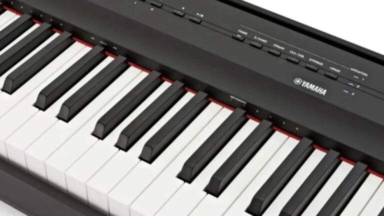 Yamaha P-125 or Yamaha P-125a (88 key weighted keyboard)